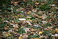 DSC00770 - Bernhard Saalfeld