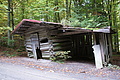 DSC00773 - Bernhard Saalfeld