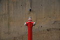 DSC00783 - Bernhard Saalfeld