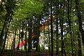 DSC00784 - Bernhard Saalfeld