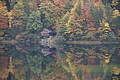 DSC00795 - Bernhard Saalfeld