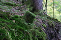 DSC00801 - Bernhard Saalfeld