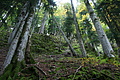 DSC00805 - Bernhard Saalfeld