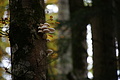 DSC00813 - Bernhard Saalfeld