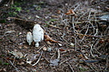 DSC00820 - Bernhard Saalfeld