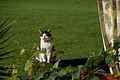 DSC00827 - Bernhard Saalfeld