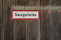 DSC00828 - Bernhard Saalfeld