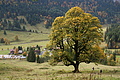 DSC00830 - Bernhard Saalfeld