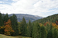 DSC00831 - Bernhard Saalfeld