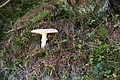 DSC00833 - Bernhard Saalfeld