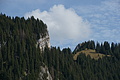 DSC00836 - Bernhard Saalfeld