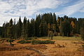 DSC00841 - Bernhard Saalfeld