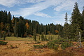 DSC00842 - Bernhard Saalfeld