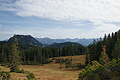 DSC00843 - Bernhard Saalfeld