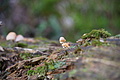 DSC00866 - Bernhard Saalfeld