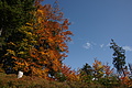 DSC00881 - Bernhard Saalfeld