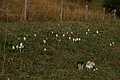 DSC00882 - Bernhard Saalfeld