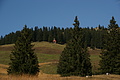 DSC00883 - Bernhard Saalfeld