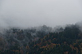DSC00903 - Bernhard Saalfeld