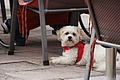 DSC00904 - Bernhard Saalfeld