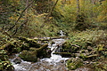 DSC00905 - Bernhard Saalfeld