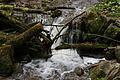 DSC00907 - Bernhard Saalfeld