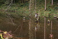 DSC00908 - Bernhard Saalfeld