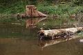 DSC00909 - Bernhard Saalfeld