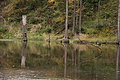 DSC00911 - Bernhard Saalfeld