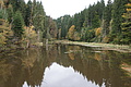DSC00912 - Bernhard Saalfeld