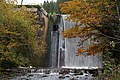 DSC00913 - Bernhard Saalfeld