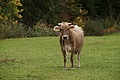 DSC00918 - Bernhard Saalfeld
