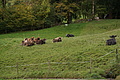 DSC00920 - Bernhard Saalfeld