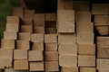 DSC00922 - Bernhard Saalfeld