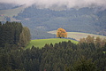 DSC00928 - Bernhard Saalfeld