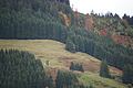 DSC00936 - Bernhard Saalfeld