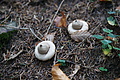 DSC00939 - Bernhard Saalfeld