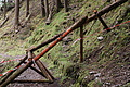 DSC00942 - Bernhard Saalfeld