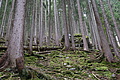 DSC00943 - Bernhard Saalfeld