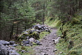 DSC00944 - Bernhard Saalfeld