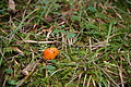 DSC00945 - Bernhard Saalfeld