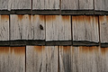 DSC00951 - Bernhard Saalfeld
