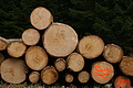 DSC00965 - Bernhard Saalfeld