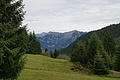 DSC00966 - Bernhard Saalfeld