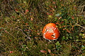 DSC00967 - Bernhard Saalfeld