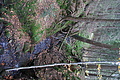 DSC00969 - Bernhard Saalfeld