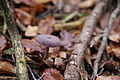 DSC00974 - Bernhard Saalfeld