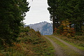 DSC00976 - Bernhard Saalfeld