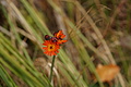 DSC00978 - Bernhard Saalfeld