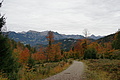 DSC00984 - Bernhard Saalfeld